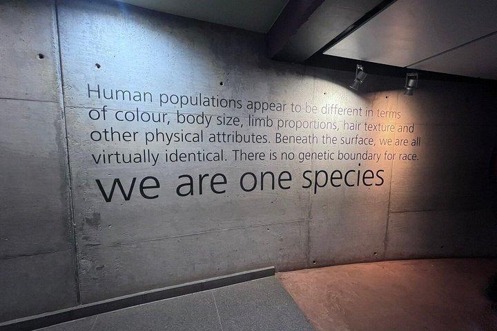 Cradle of Humankind World Heritage Site
