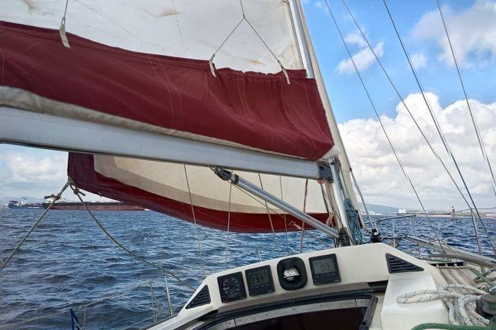 Sailing boat Algeciras Bay with Dolphins and Tapas