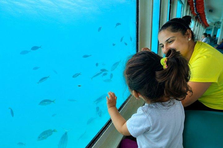 90 Minutes Glass Bottom Boat with Mermaid Show