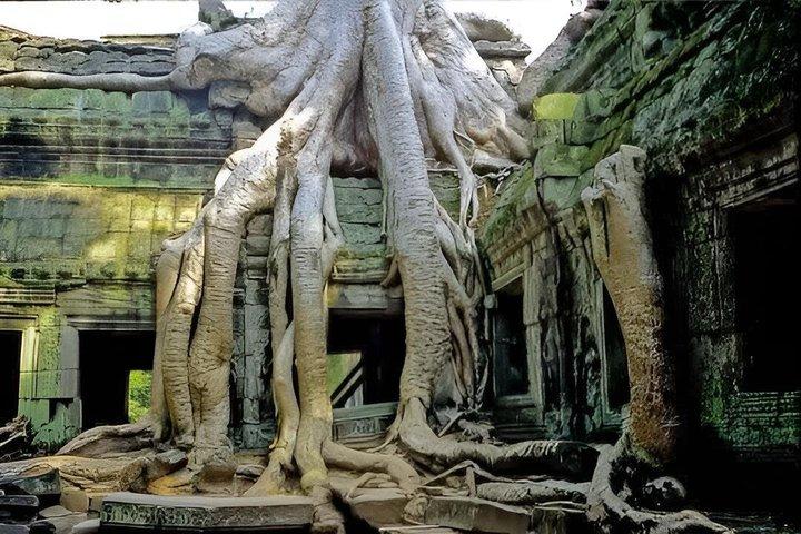 Angkor Wat – deutschgeführte Tour