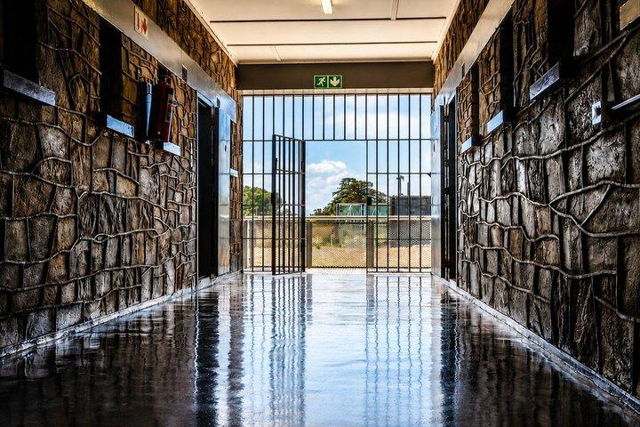 Cape Town: Guided Robben Island and Table Mountain Tour