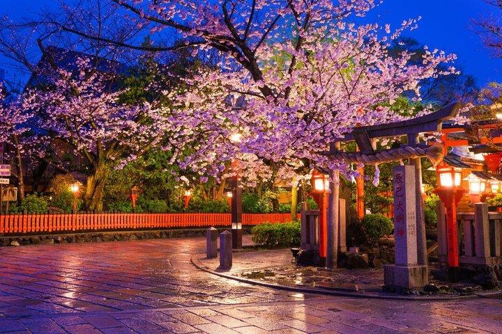 Kyoto Gion Backstreets and Geisha Traditions Tour