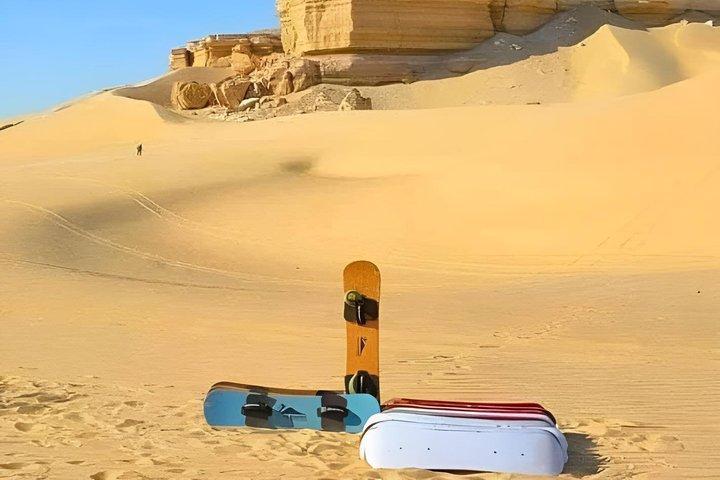 Private Fayoum, Wadi El Hitan & Wadi El Rayan Safari from Cairo