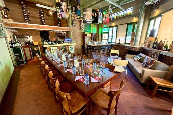Tasting 10 + 1 CYPRUS WINES including transfers only from Larnaca