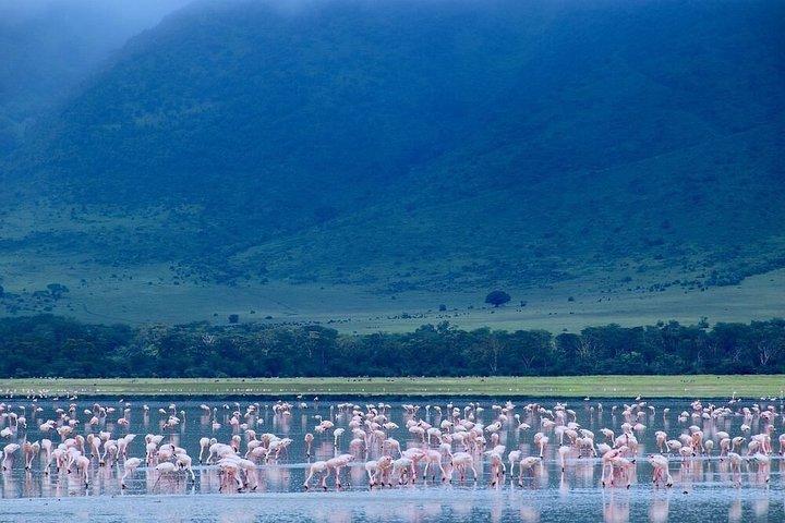 4 Days Group Camping Safari Tour