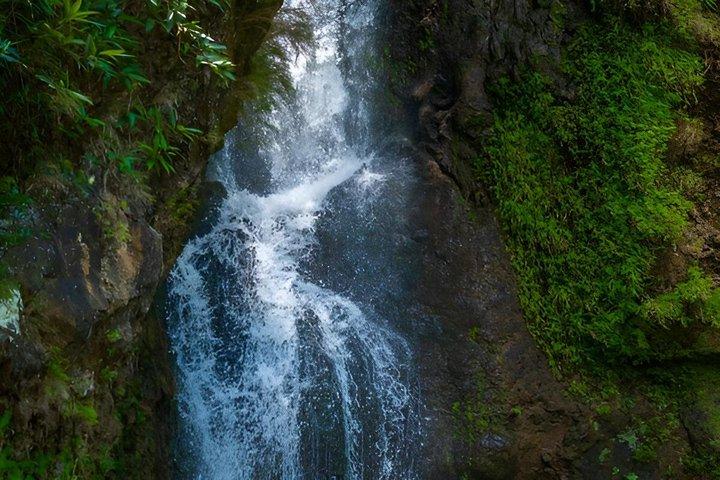 South Mauritius Private Tour to Volcanoes and Temples