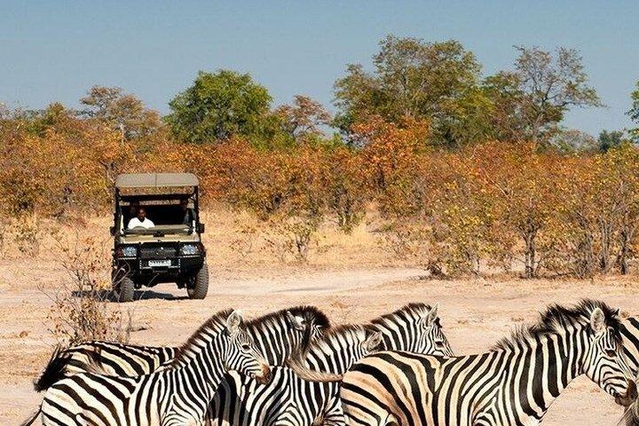 ½-Day Daan Viljoen Game Drive Safari in Windhoek