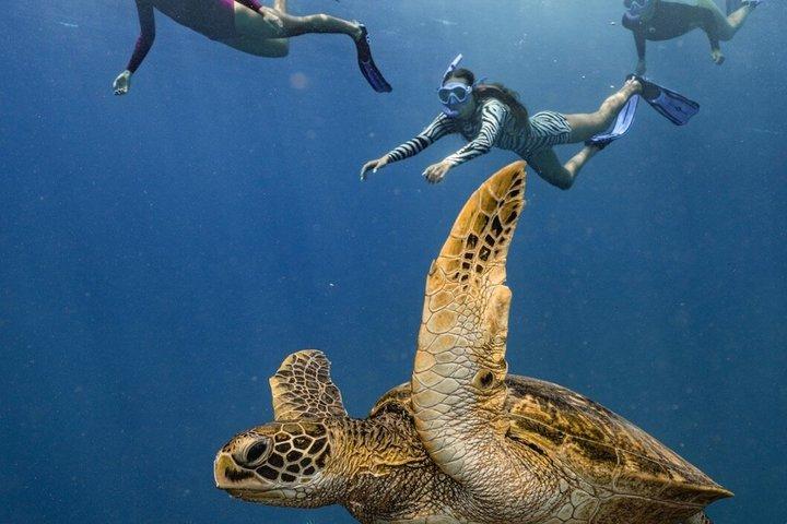Tahiti Lagoon Snorkeling and Lunch Boat Tour (6 pax max)