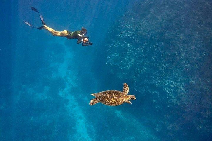 Tahiti Lagoon Snorkeling and Lunch Boat Tour (6 pax max)