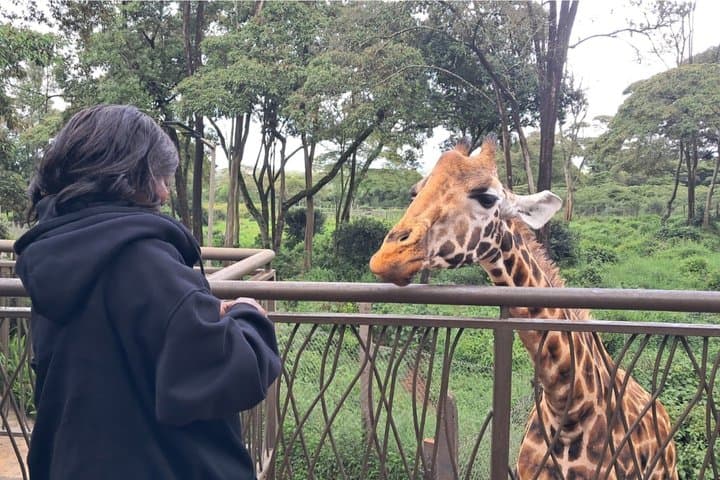 6 Day Private Kenya Safari Wildlife and Watamu Beach Experience