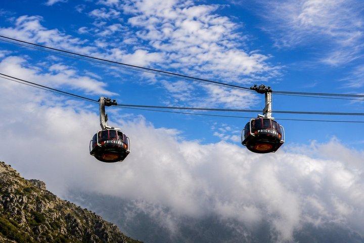 Cape Town Private Tour: Table Mountain, Cape Point & Penguins