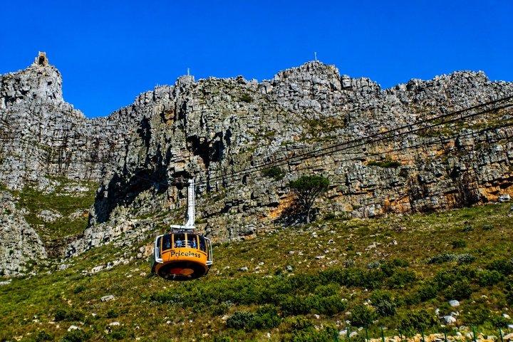 Cape Town Private Tour: Table Mountain, Cape Point & Penguins
