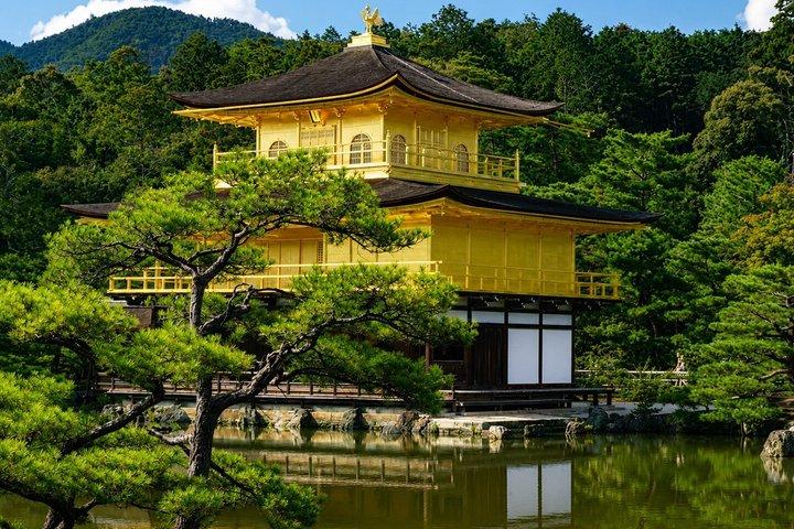 Kyoto Private Car Charter with English Driver Flexible Itinerary