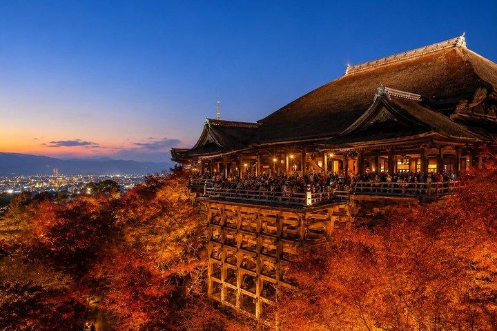 Kyoto Private Car Charter with English Driver Flexible Itinerary