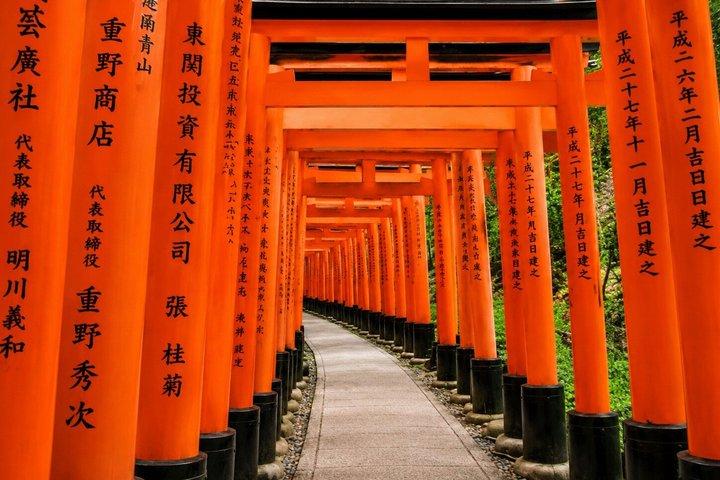 Kyoto Private Car Charter with English Driver Flexible Itinerary