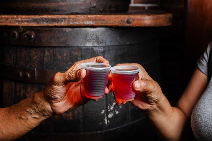 Savour Salvador Food Tour with 12+ Tastings