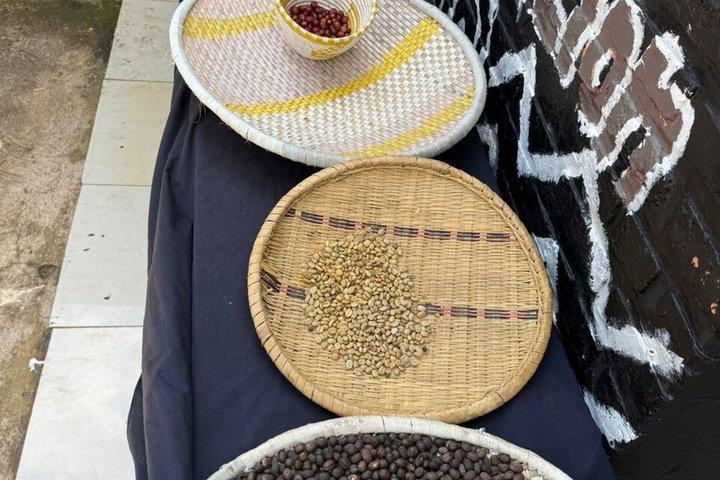 Rwanda Kigali Coffee Crop to Cup Tour experience
