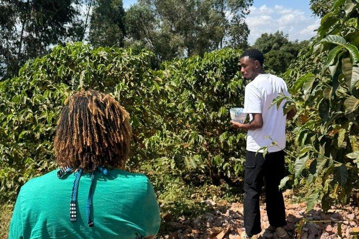 Rwanda Kigali Coffee Crop to Cup Tour experience