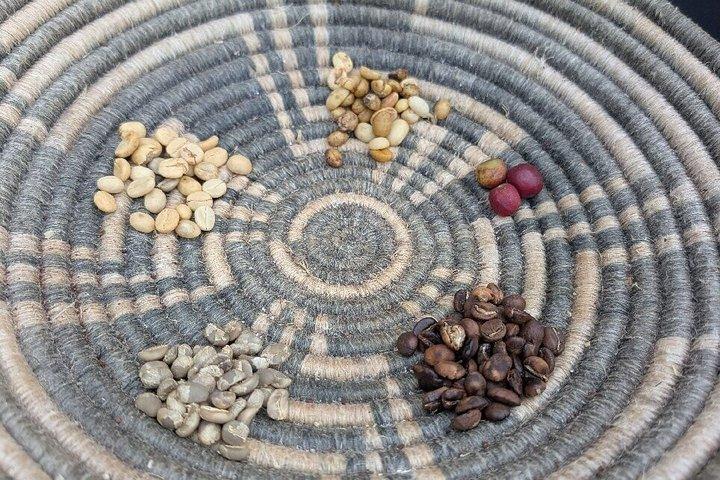 Rwanda Kigali Coffee Crop to Cup Tour experience