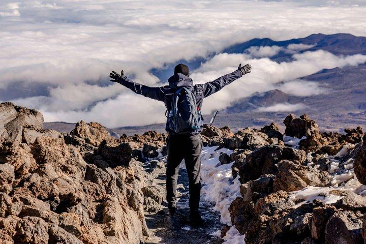 Private Mount Kilimanjaro Day Hike: Shira Plateau or Marangu