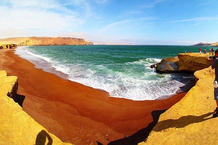 Paracas Full Tour Ballestas Islands Paracas Reserve and Huacachina