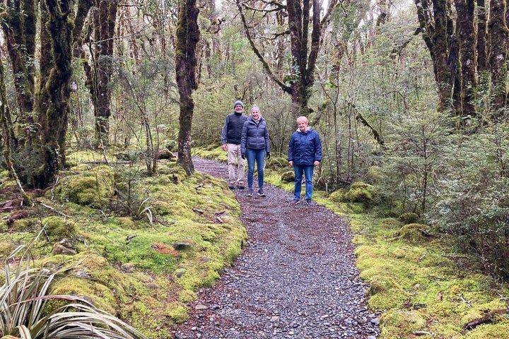 Lyttelton Shore Excursion: Arthur's Pass National Park Day Tour