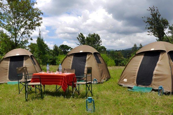3-Day Camping Safari Tarangire, Ngorongoro and Lake Manyara