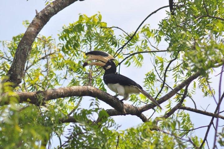 Sri Lanka 06 Days Wildlife & Sightseeing Tour