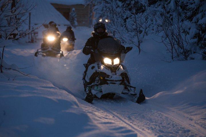 Arctic All-in-One Night: Dog Sledding, Snowmobiling & Aurora
