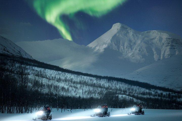Arctic All-in-One Night: Dog Sledding, Snowmobiling & Aurora