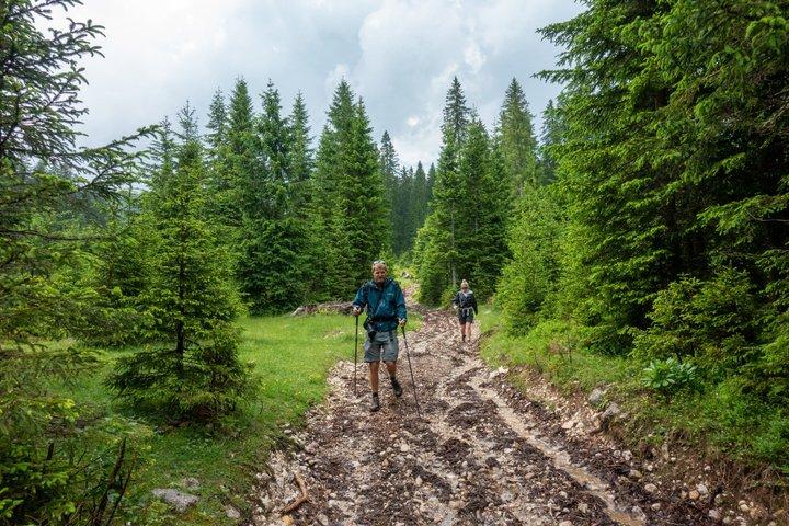Debela Peč Hike: Panoramic Julian Alps & Lake Bled Views