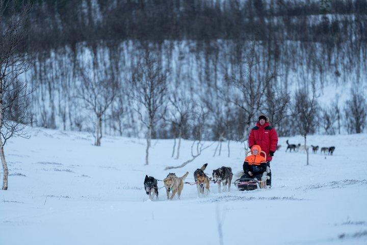 Arctic Combo: Dog Sledding, Snowmobiling & Reindeer Visit