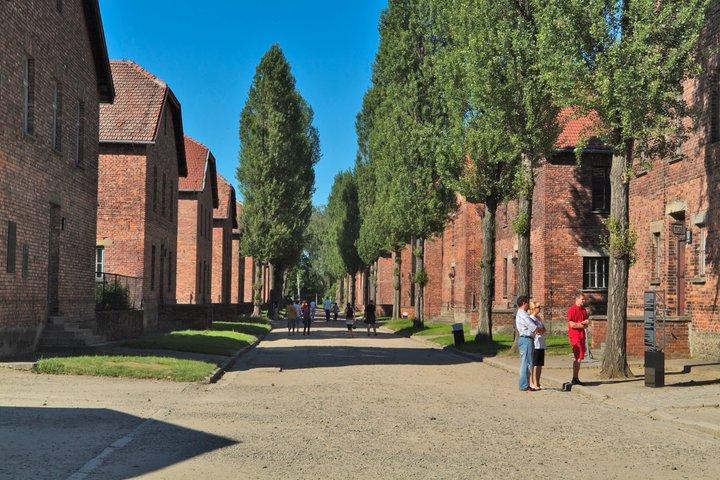 Auschwitz-Birkenau Museum and Memorial Guided Tour from Krakow