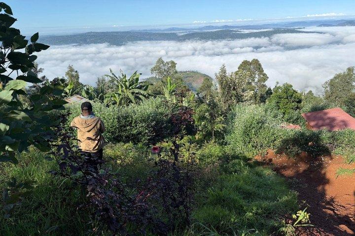 Musanze and Volcanoes National Park Region Day Trip from Kigali