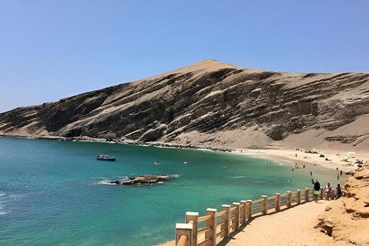 Guided excursion to the Paracas National Reserve
