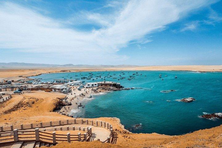 Guided excursion to the Paracas National Reserve