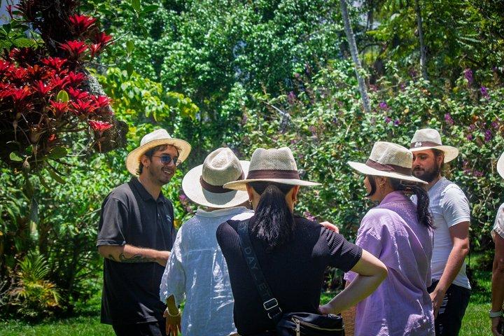 Visit to Finca Cafetera From Seed to Cup