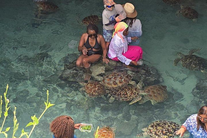 Salaam Cave Zanzibar Tour with Turtle Swimming