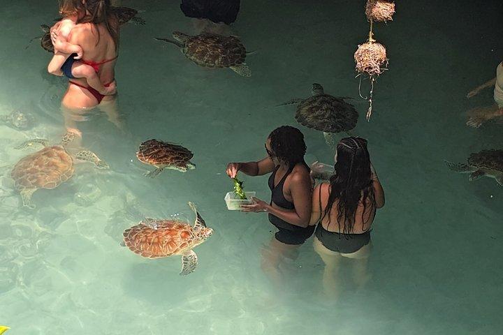 Salaam Cave Zanzibar Tour with Turtle Swimming