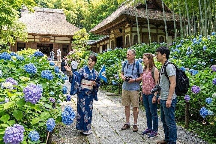 Kamakura Zen Temples & Gardens Tour with Licensed Guide