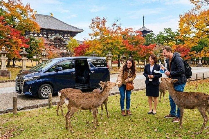 Nara 9hr Tour Licensed Guide&Vehicle: Kyoto pickup/Osaka dropoff