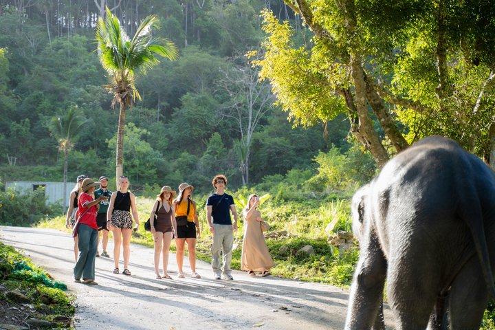 Private Phuket Highlights with Ethical Elephant Visit