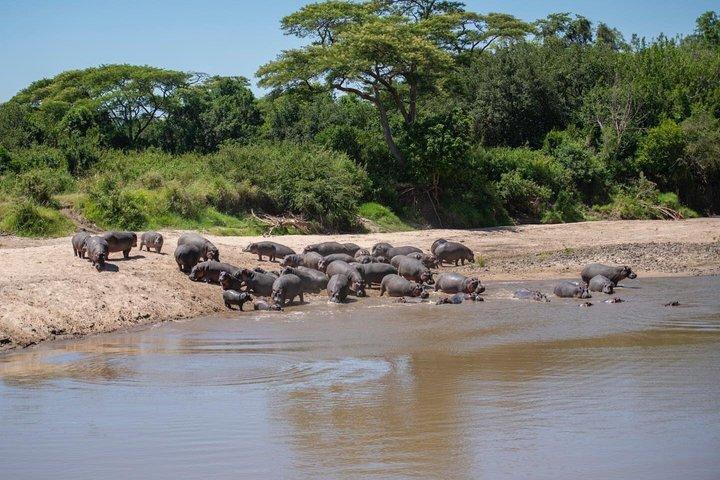 Ngorongoro Crater Joining Group Day Trip Safari