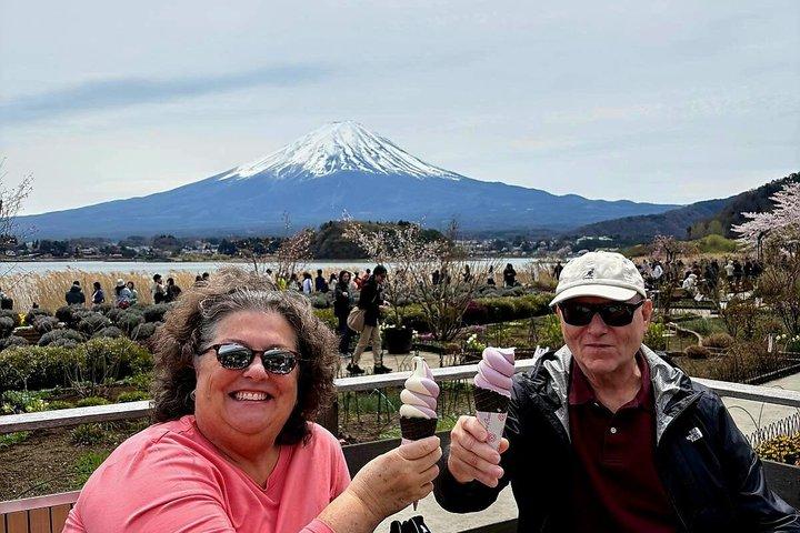 Mt. Fuji & Hakone Customizable Tour for 9 people