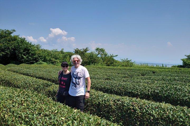 Shizuoka Green Tea Farm Tour by Car with Licensed Guide