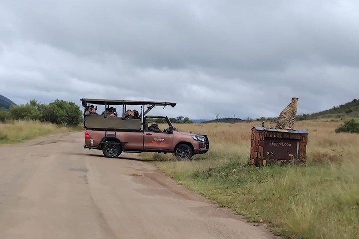 Full Day Pilanesberg Safari Adventure