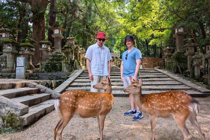 Nara Day Trip from Kyoto: Customized Tour, Licensed Guide