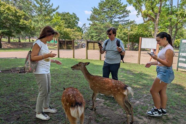 Nara Day Trip from Kyoto by Private Car with Licensed Guide