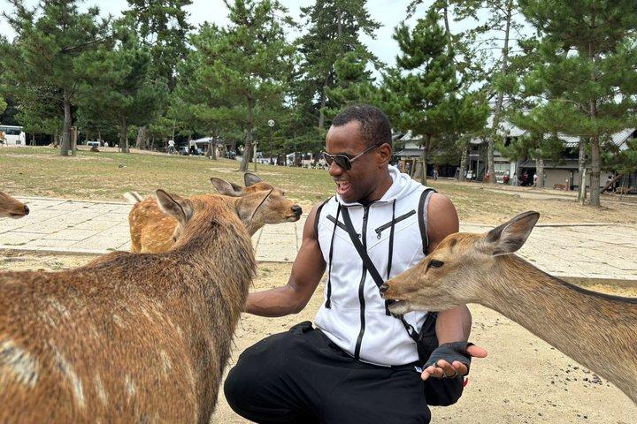 Nara Day Trip from Kyoto by Private Car with Licensed Guide
