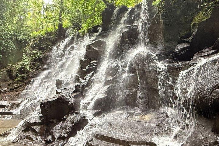 Ubud Private Tour : Waterfall, Temple, Rice terrace and Swing